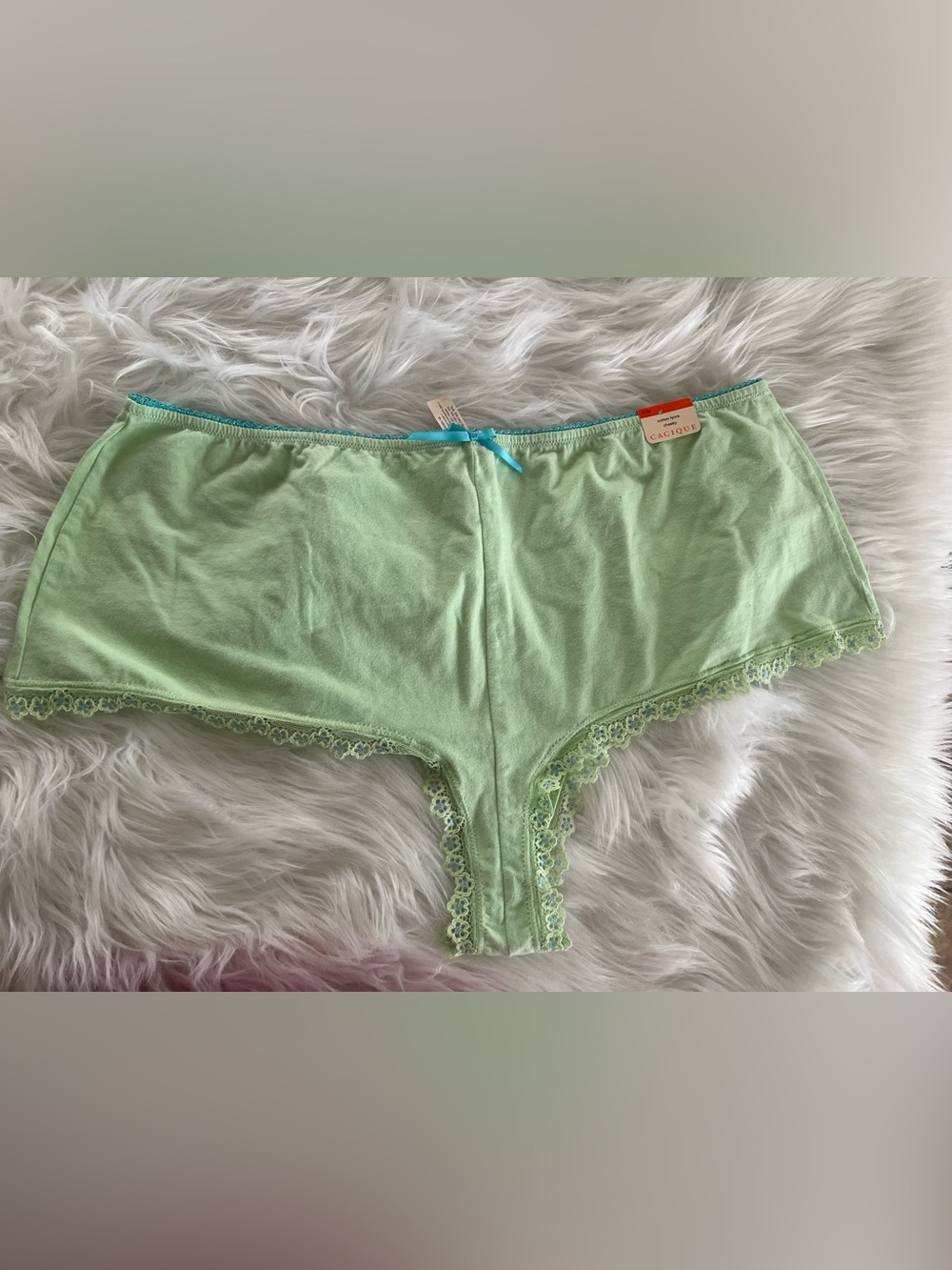 Cacique Mint Green Cotton panties
